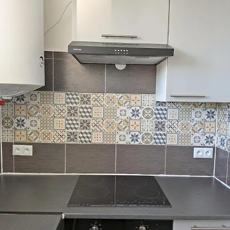 Gare 10 Min - Paris Cdg 25 Min - Asterix 20 Min Appartement